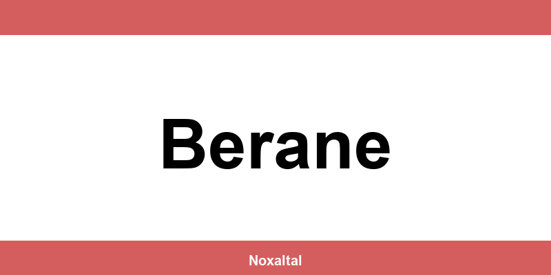 Radno vreme Metalac Berane prodavnica