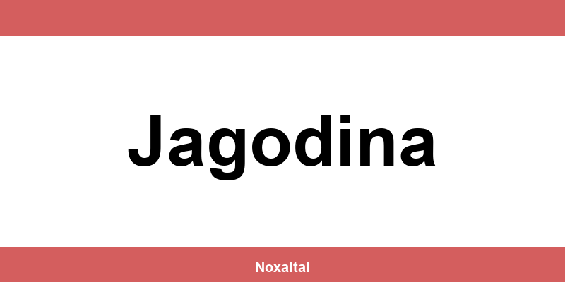 Radno vreme Metalac Jagodina prodavnica